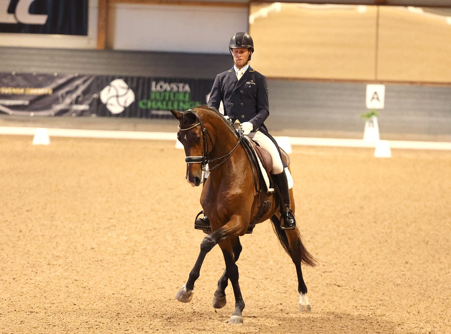 Mads Hendeliowitz x Atletix Horse