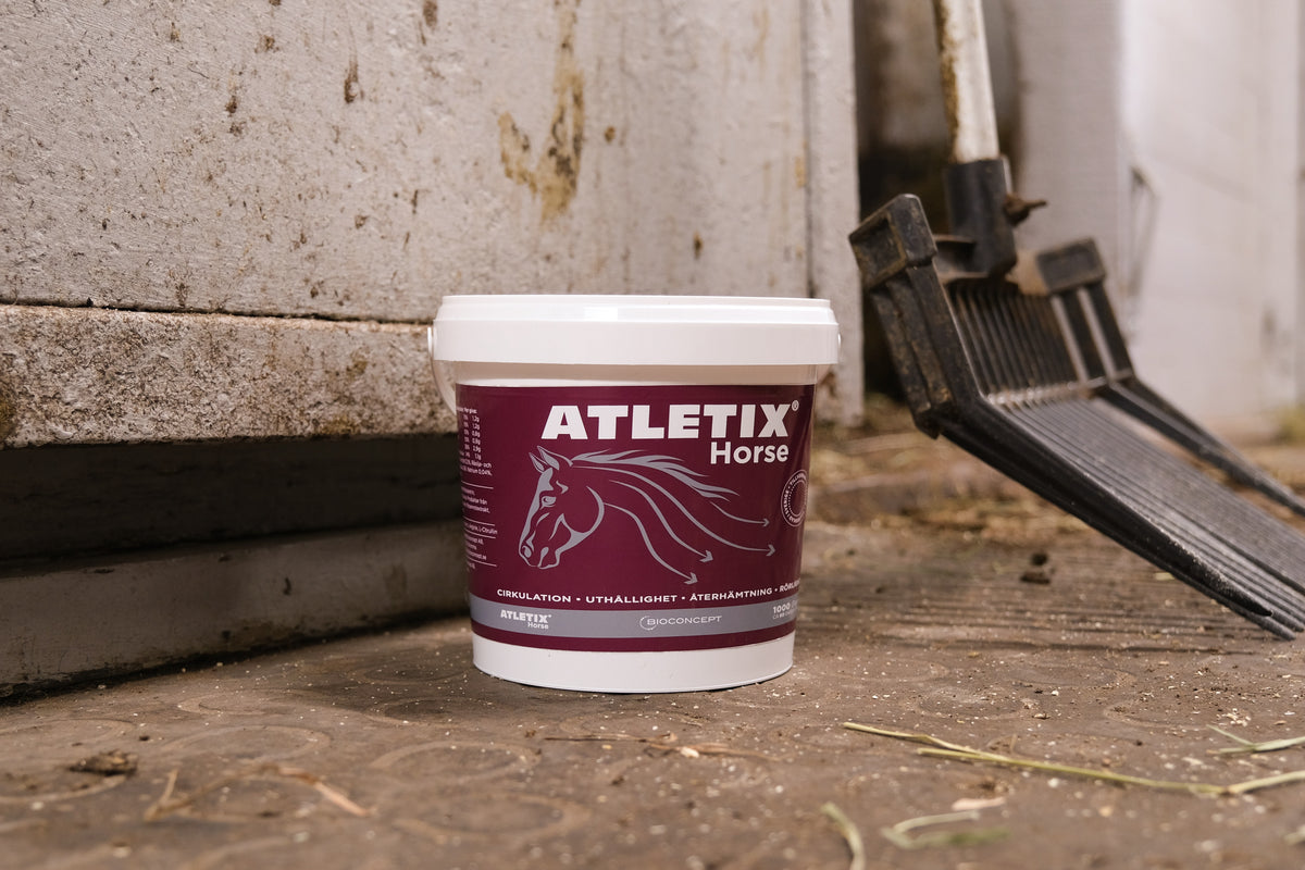 Atletix Horse